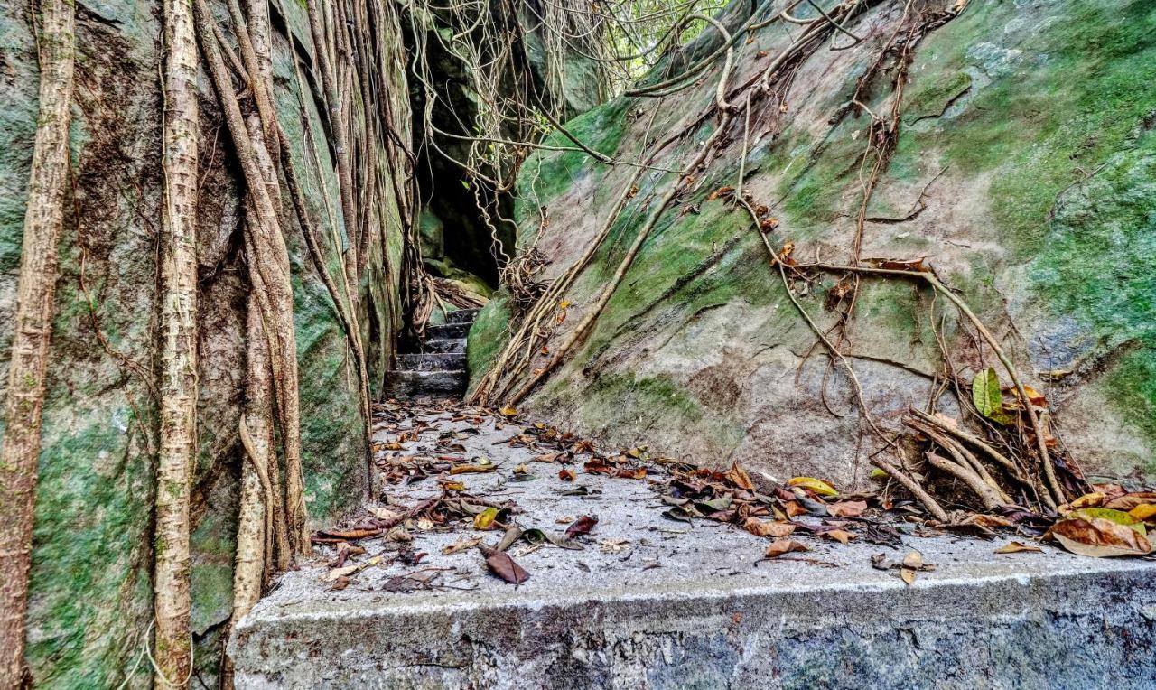 Treebo Tryst Jathika Resorts Calecute Exterior foto